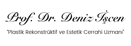 Prof. Dr. Deniz İşcen